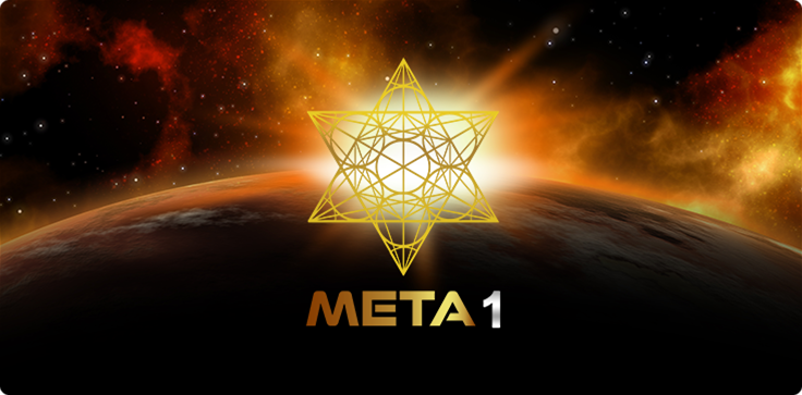 Meta 1 Coin - Welcome